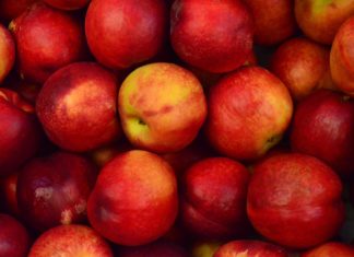 Green and Red Apples Wallpapers