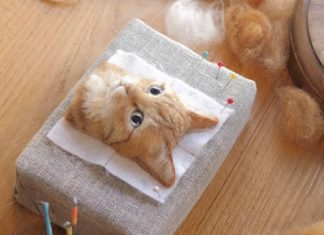 Japanese Artist Creates Cat Portraits From Wool and They Look Real