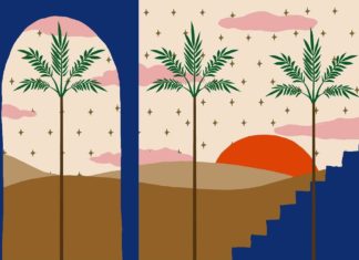 Unique Illustrations and Artworks by Twin Brothers