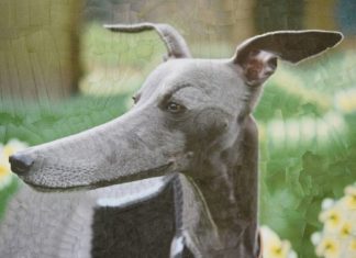 Artist Distorts Dimensions to Create Incredible Collage Artworks