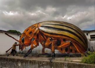 This Street Artist Paints 3D Insects Graffiti and Most of Them Will Scare You
