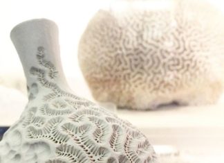 Ceramic Artist Created 100 Beautiful Clay Bottles in 100 Days