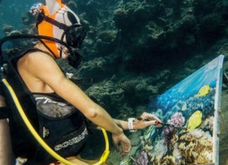 Check Out This Incredible Underwater Paintings by Olga Belka