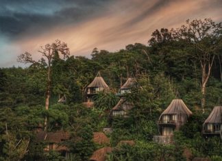 Tree House Wallpapers