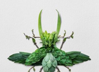 Artist Uses Plants and Flowers To Create Animal and Insect Sculptures