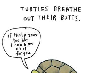 Artist Draws Sad Animal Facts