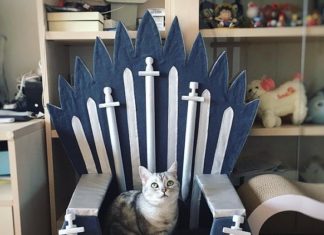 Artist Designs Iron Throne Pet Beds