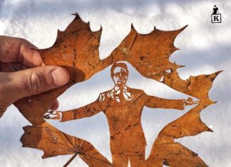 This Artist Creates Amazing Art Out of Falling Leaves