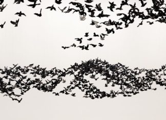 Artist Creates Incredible Landscape Made of 10,000 Porcelain Birds