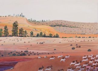 Michelle Morin’s Illustrations Give us Summer Vibes