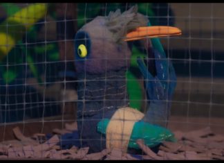 Stop-Motion Movie Shows the Exotic Pet Industry from a Bird’s POV