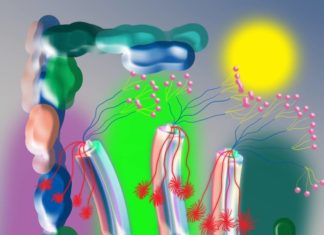 Théophile Bartz’ Illustrations Will Hypnotize You