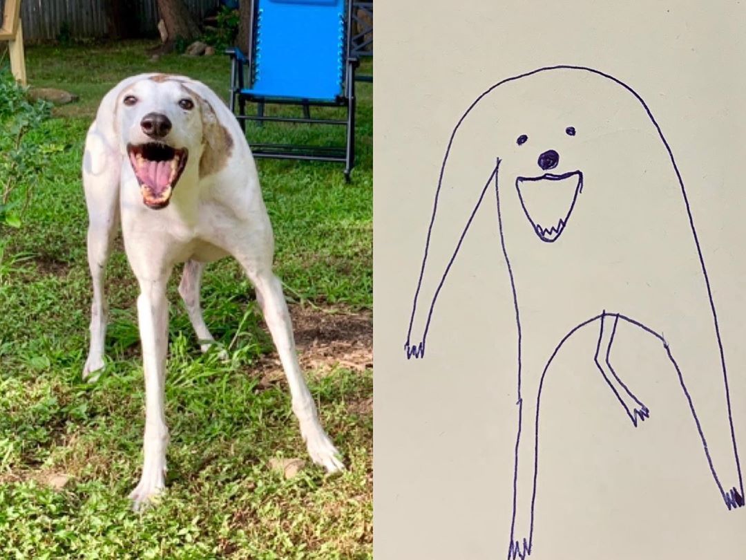 These Drawings of Dogs Are So Bad That They're Actually Good