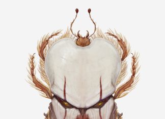 Richard Wilkinson Illustrates Pop Culture Characters That Resemble Insects
