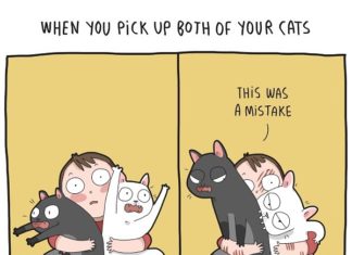 Russian Duo Shows the Funny Side of Being a Cat Owner