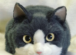 These Cat-Inspired Hand Bags are Super Realistic