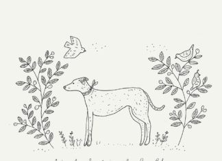 Ryn Frank Promotes Slow Living