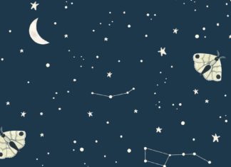 Find Peace In Valesca van Waveren’s Illustrations