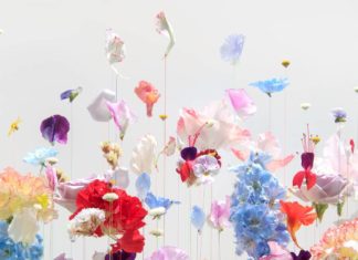 Dutch Artist Submerges Flowers to Create “Underwater Ballet”