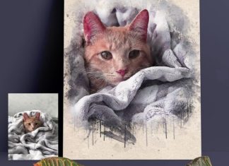 Artist Helps Animals Get Adopted By Painting Them On Canvases