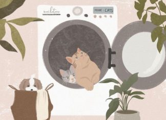 Artist Captures the Innocence of Animals in Her Illustrations