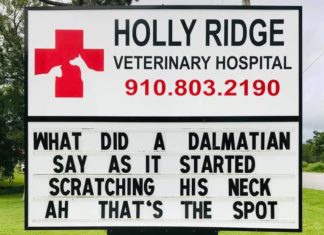 This Veterinary Clinic Has the Funniest Signs
