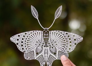 Indian Artist Creates Intricate Paper Birds and Insects