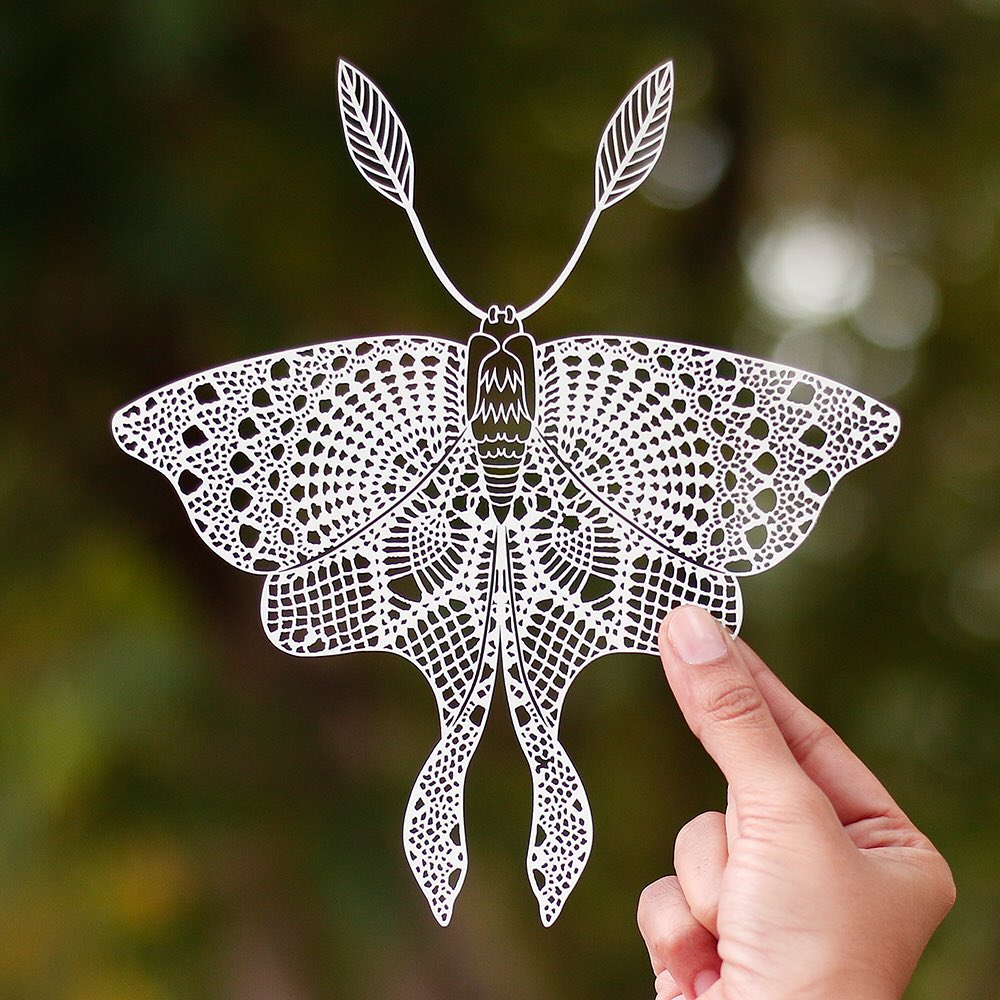 Indian Artist Creates Intricate Paper Birds and Insects - Wallpaper Data