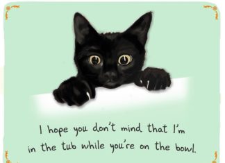 Artist Creates Adorable Illustrations of Pets with Confessions