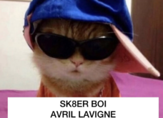 “Cat Music Videos” Will Be Your New Favorite Music Series