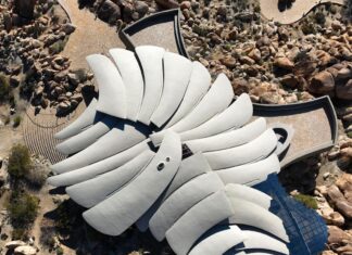 Kellogg Doolittle Mansion Looks Like a Fossil from Above