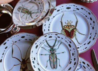 Julia Pilipchatina Creates Intriguing Insect Art on Plates