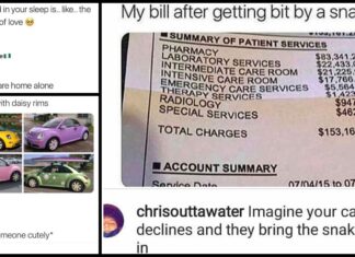 40+ Cursed Comments That Have Us Questioning Everything