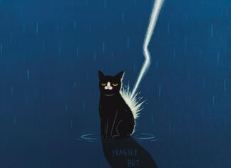 After Cigs’ Illustrations Pay Homage to the Artist’s Sassy Black Cat
