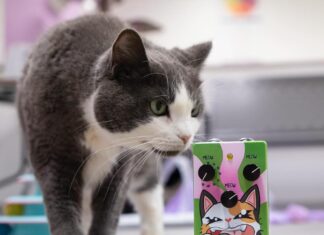 Meowdulator is a Guitar Synth That Transforms Notes Into Cat Sounds