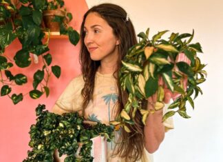 Devan Carter is Living Her Best Life in Her Boho House Filled With Plants