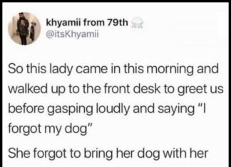 34+ Dumb Tweets That Are Surprisingly Hilarious