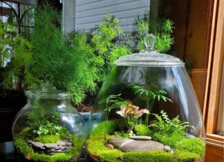 Bria Singer is Creating the Most Amazing Terrariums That You’ll Ever See