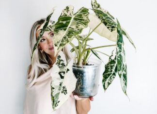 Samantha Hermann Will Help Your Home Garden Bloom