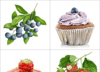 Anna Mason’s Food Paintings Look as Real as it Gets