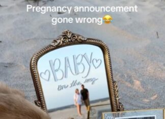 Dog Spoils Couple’s Baby Announcement in a Hilarious Way