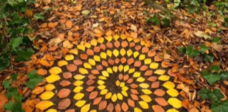 Laurence Winram’s Land Art Celebrates Nature’s Fleeting Beauty